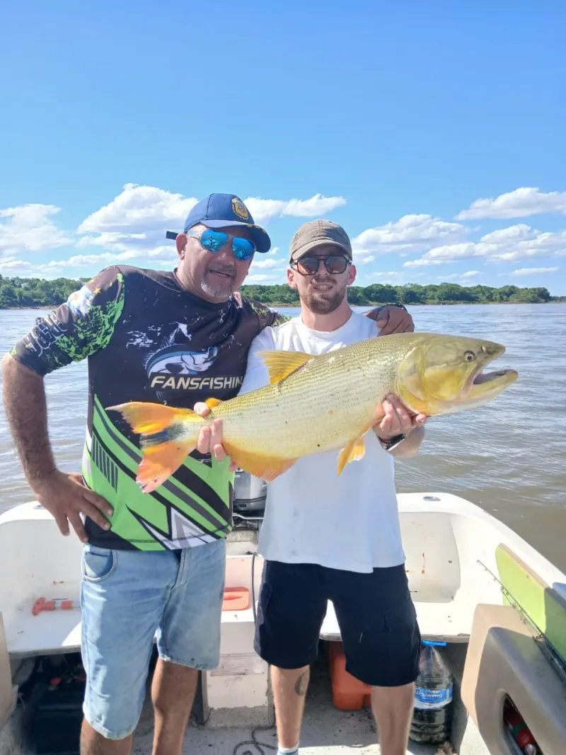 Dourado dourado