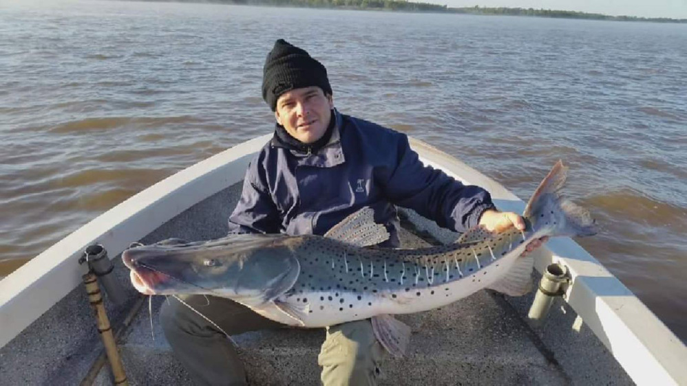 PESCA
DE SURUBI 2017, fansfishing