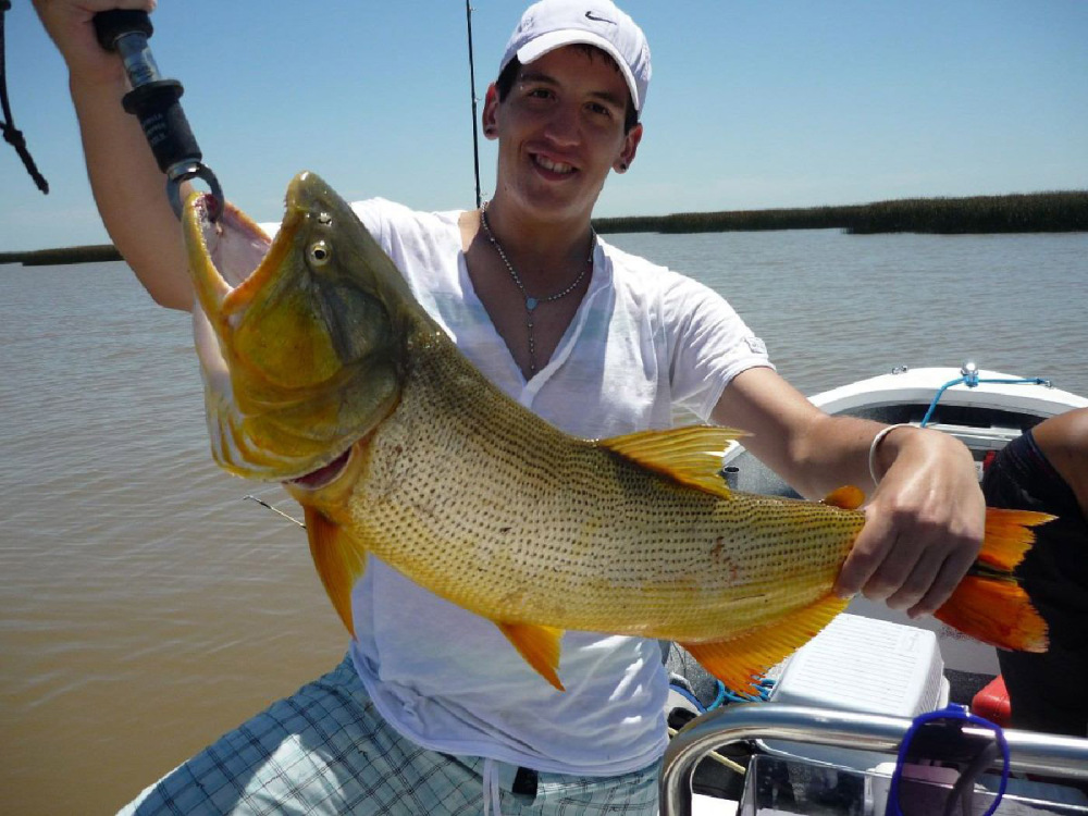 PESCA 
DE DORADO  2017, fansfishing